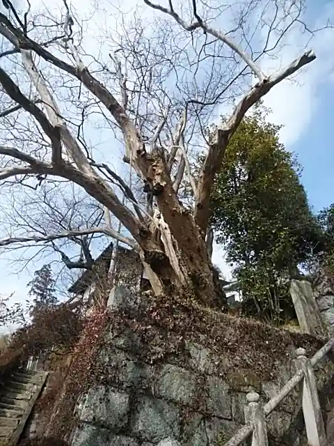 岩角山 岩角寺(福島県)