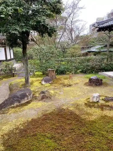 建仁寺（建仁禅寺）の庭園