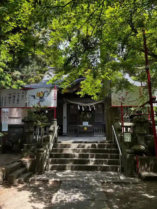 渋川八幡宮の{uncategorized: "未分類", other: "その他", undefined: "問題あり", building: "その他建物", grave: "お墓", sacred_gate: "鳥居", guardian: "狛犬", statue: "像", buddha: "仏像", history: "歴史", nature: "自然", garden: "庭園", animal: "動物", pagoda: "塔", temizu: "手水舎", mountain_gate: "山門・神門", sanctuary: "本殿・本堂", subordinate: "末社・摂社", art: "芸術", scenery: "景色", jizo: "地蔵", ema: "絵馬", goshuin: "御朱印", omikuji: "おみくじ", items: "授与品その他", amulet: "お守り", goshuincho: "御朱印帳", eats: "食事", festival: "お祭り", votive_dance: "神楽", shichigosan: "七五三参", wedding: "結婚式", experience: "体験その他", initially: "初詣", around: "周辺", anti_infection: "感染症対策"}