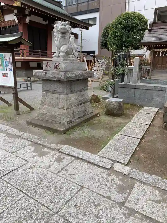 柏神社の狛犬