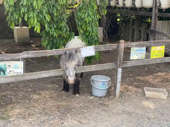 大石神社(京都府)