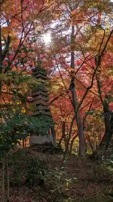 禅林寺(永観堂)(京都府)