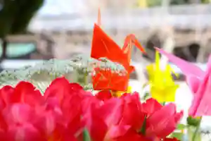三津厳島神社の手水舎(2021年03月16日(火) 06時20分15秒投稿)