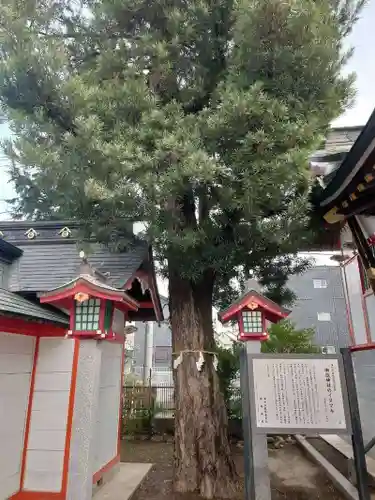 御嶽神社(埼玉県)