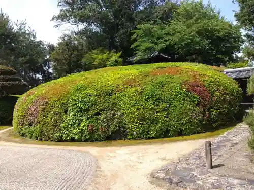 慈光院(奈良県)