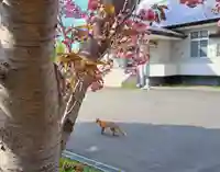 極楽山 浄土寺(北海道)