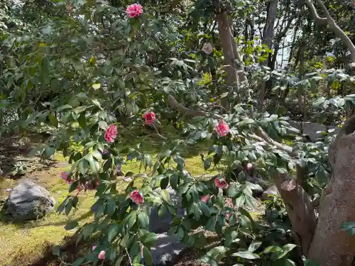 浄住寺の{uncategorized: "未分類", other: "その他", undefined: "問題あり", building: "その他建物", grave: "お墓", sacred_gate: "鳥居", guardian: "狛犬", statue: "像", buddha: "仏像", history: "歴史", nature: "自然", garden: "庭園", animal: "動物", pagoda: "塔", temizu: "手水舎", mountain_gate: "山門・神門", sanctuary: "本殿・本堂", subordinate: "末社・摂社", art: "芸術", scenery: "景色", jizo: "地蔵", ema: "絵馬", goshuin: "御朱印", omikuji: "おみくじ", items: "授与品その他", amulet: "お守り", goshuincho: "御朱印帳", eats: "食事", festival: "お祭り", votive_dance: "神楽", shichigosan: "七五三参", wedding: "結婚式", experience: "体験その他", initially: "初詣", around: "周辺", anti_infection: "感染症対策"}