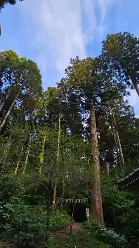 御岩神社の庭園