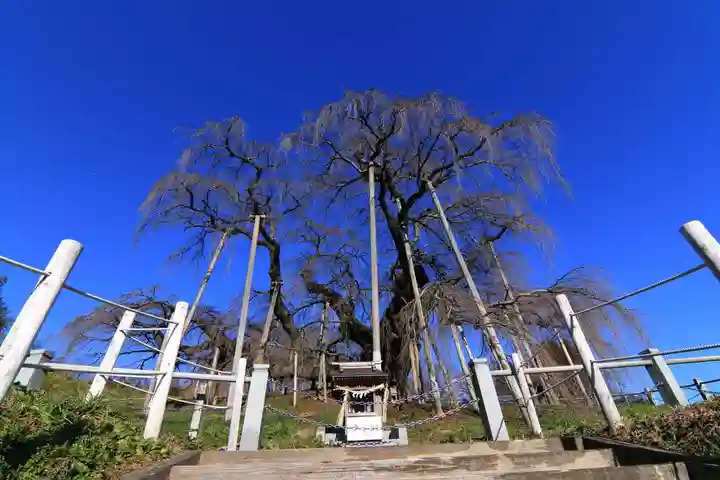 瀧桜神明宮の自然