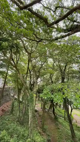 福母八幡宮の自然