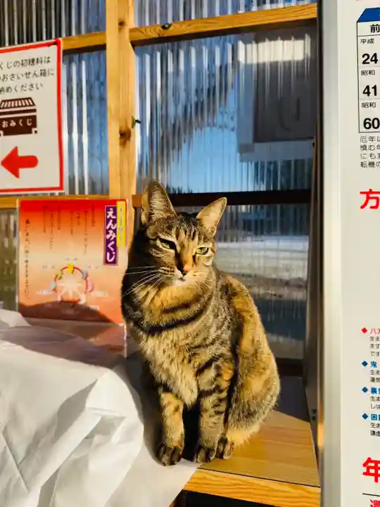守りの神 藤基神社(新潟県)