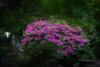 伊勢の国 四天王寺(三重県)