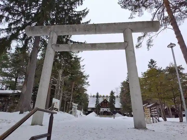 上川神社の鳥居