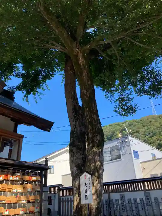 瀧宮神社(広島県)
