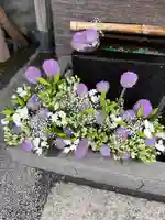 上尾御嶽神社の手水舎