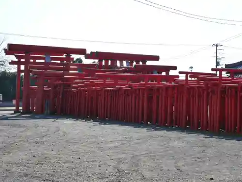 小泉稲荷神社の鳥居