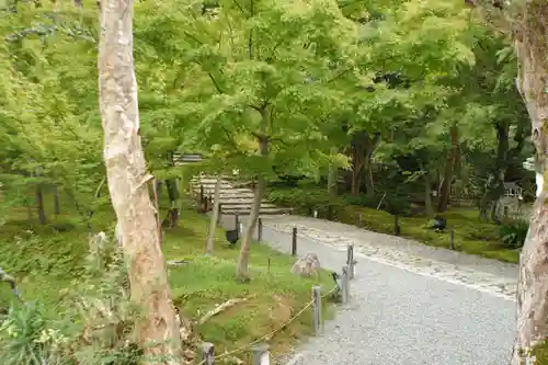 高台寺（高台寿聖禅寺・高臺寺）(京都府)