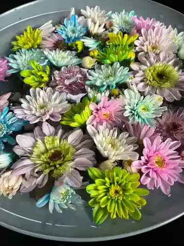 下野 星宮神社(栃木県)