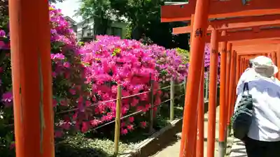 根津神社(東京都)