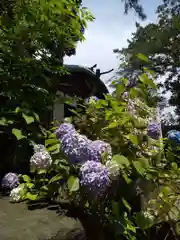 御田八幡神社の自然