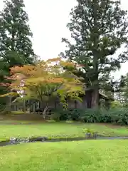 毛越寺の建物その他