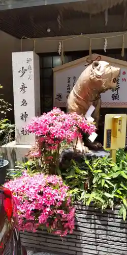 少彦名神社の狛犬