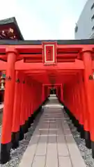 東京羽田 穴守稲荷神社の鳥居