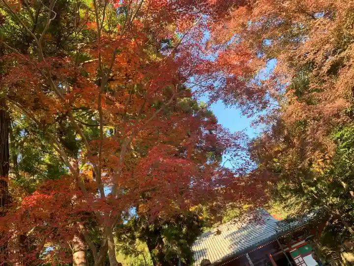 観心寺(大阪府)