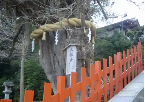 鶴岡八幡宮の自然