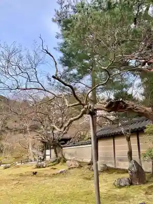 高台寺（高台寿聖禅寺・高臺寺）のその他建物