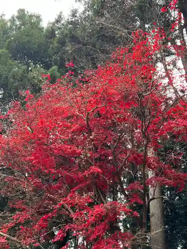 大宮温泉神社(栃木県)
