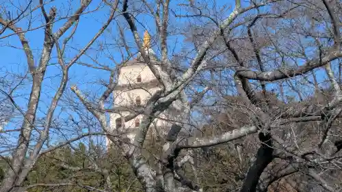 無量寺の{uncategorized: "未分類", other: "その他", undefined: "問題あり", building: "その他建物", grave: "お墓", sacred_gate: "鳥居", guardian: "狛犬", statue: "像", buddha: "仏像", history: "歴史", nature: "自然", garden: "庭園", animal: "動物", pagoda: "塔", temizu: "手水舎", mountain_gate: "山門・神門", sanctuary: "本殿・本堂", subordinate: "末社・摂社", art: "芸術", scenery: "景色", jizo: "地蔵", ema: "絵馬", goshuin: "御朱印", omikuji: "おみくじ", items: "授与品その他", amulet: "お守り", goshuincho: "御朱印帳", eats: "食事", festival: "お祭り", votive_dance: "神楽", shichigosan: "七五三参", wedding: "結婚式", experience: "体験その他", initially: "初詣", around: "周辺", anti_infection: "感染症対策"}