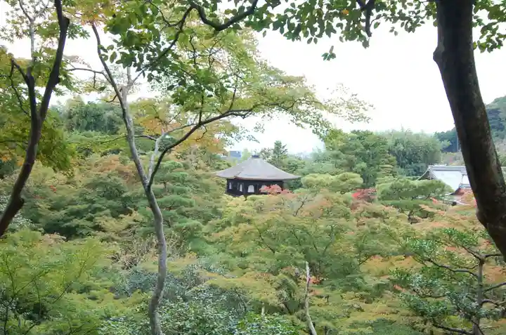 慈照寺(慈照禅寺・銀閣寺)の景色