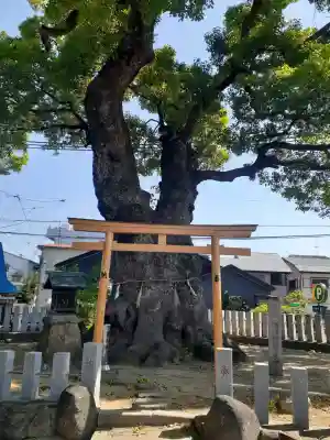 渋川神社の{uncategorized: "未分類", other: "その他", undefined: "問題あり", building: "その他建物", grave: "お墓", sacred_gate: "鳥居", guardian: "狛犬", statue: "像", buddha: "仏像", history: "歴史", nature: "自然", garden: "庭園", animal: "動物", pagoda: "塔", temizu: "手水舎", mountain_gate: "山門・神門", sanctuary: "本殿・本堂", subordinate: "末社・摂社", art: "芸術", scenery: "景色", jizo: "地蔵", ema: "絵馬", goshuin: "御朱印", omikuji: "おみくじ", items: "授与品その他", amulet: "お守り", goshuincho: "御朱印帳", eats: "食事", festival: "お祭り", votive_dance: "神楽", shichigosan: "七五三参", wedding: "結婚式", experience: "体験その他", initially: "初詣", around: "周辺", anti_infection: "感染症対策"}