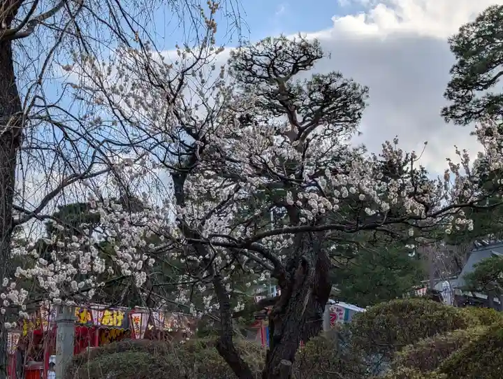 開成山大神宮(福島県)