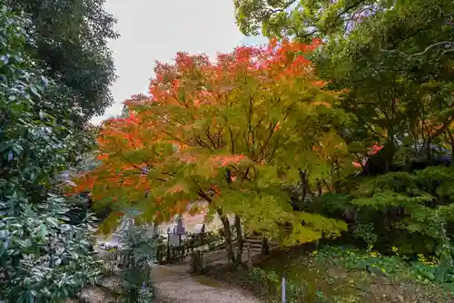 両足寺(山口県)