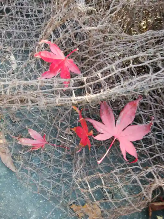 羅臼神社(北海道)