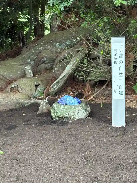 八坂神社(京都府)