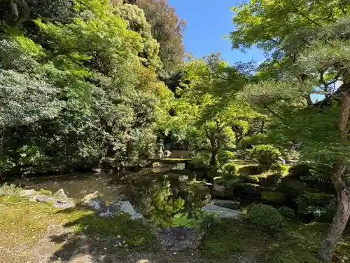 知恩院の{uncategorized: "未分類", other: "その他", undefined: "問題あり", building: "その他建物", grave: "お墓", sacred_gate: "鳥居", guardian: "狛犬", statue: "像", buddha: "仏像", history: "歴史", nature: "自然", garden: "庭園", animal: "動物", pagoda: "塔", temizu: "手水舎", mountain_gate: "山門・神門", sanctuary: "本殿・本堂", subordinate: "末社・摂社", art: "芸術", scenery: "景色", jizo: "地蔵", ema: "絵馬", goshuin: "御朱印", omikuji: "おみくじ", items: "授与品その他", amulet: "お守り", goshuincho: "御朱印帳", eats: "食事", festival: "お祭り", votive_dance: "神楽", shichigosan: "七五三参", wedding: "結婚式", experience: "体験その他", initially: "初詣", around: "周辺", anti_infection: "感染症対策"}
