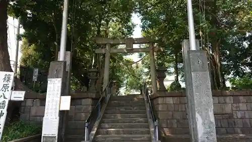 篠原八幡神社の鳥居