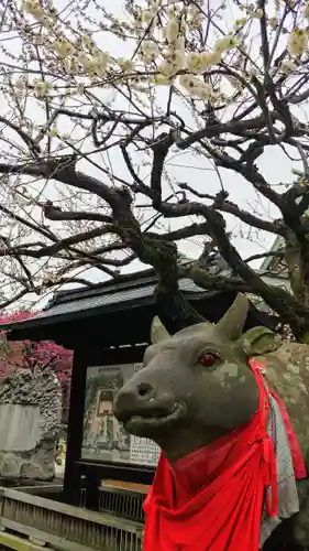 北野天満宮の狛犬