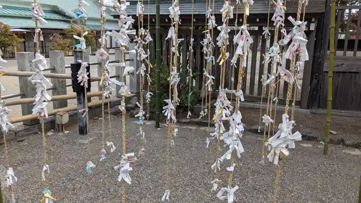 飯野八幡宮のおみくじ