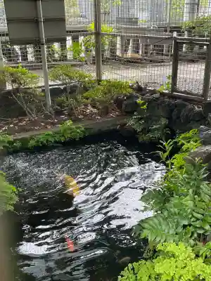 九頭龍権現水神社(東京都)