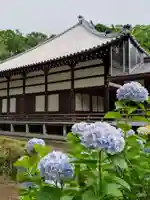 妙法寺(東京都)
