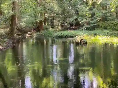 平泉寺白山神社(福井県)