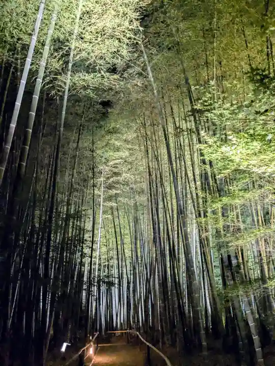 高台寺(高台寿聖禅寺・高臺寺)(京都府)