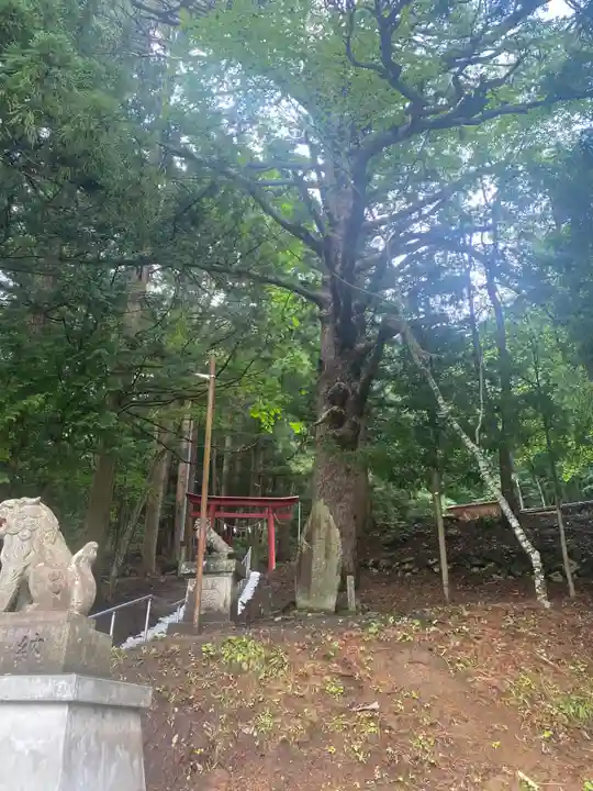 月山神社(岩手県)