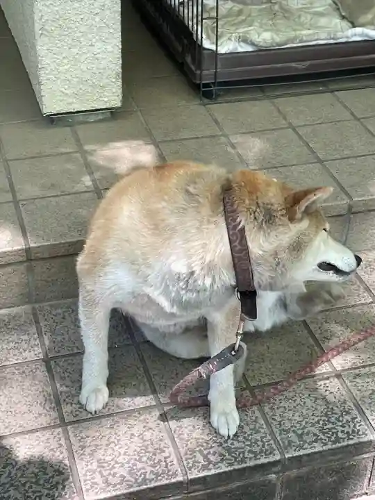 笠䅣稲荷神社(神奈川県)