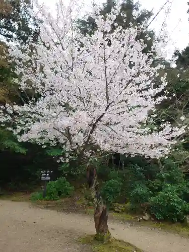 厳島神社(広島県)