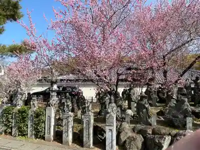 宝厳院(京都府)